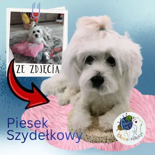 Biały piesek, rasy Maltańczyk, zrobiony na szydełku, na podstawie foto, u góry zdjęcie żywego pieska, na dole napis "Piesek Szydełkowy" i logo firmy