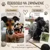Piesek z włóczki i filcowany, ręcznie robione maskotki na zamówienie, idealne na prezent. Napisz do mnie aby zamówić podobiznę własnego Pupila.